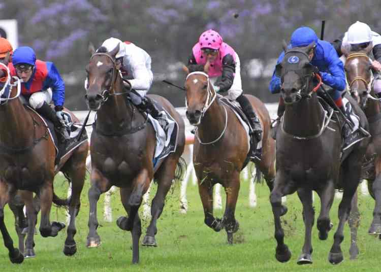 Racing Tips: Saturday 10th August 2024