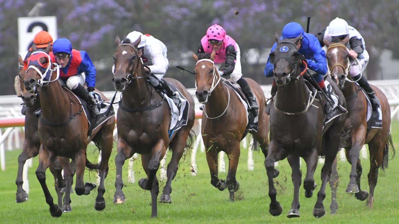 Racing Tips: Saturday 10th August 2024