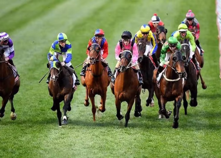 Racing Tips: Thursday 8th August 2024