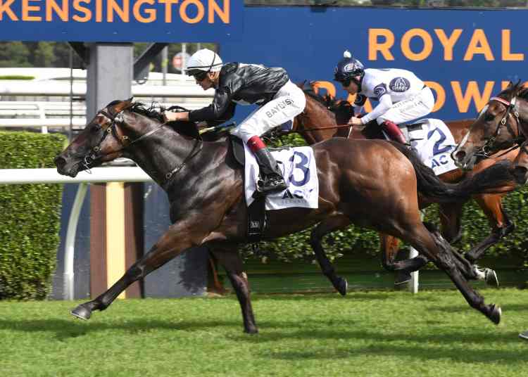 Racing Tips: Wednesday 26th March 2025