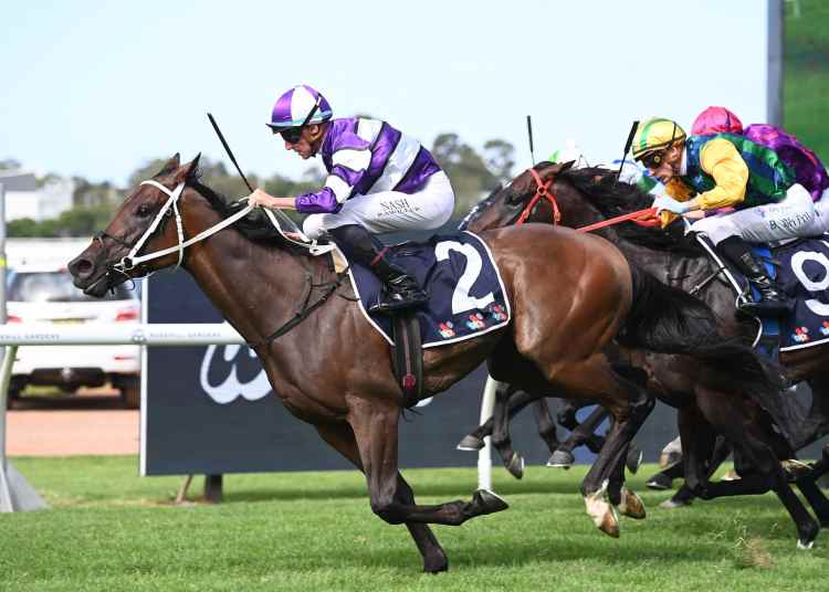 Racing Tips: Saturday 15th March 2025