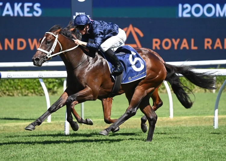 Racing Tips: Saturday 22nd March 2025