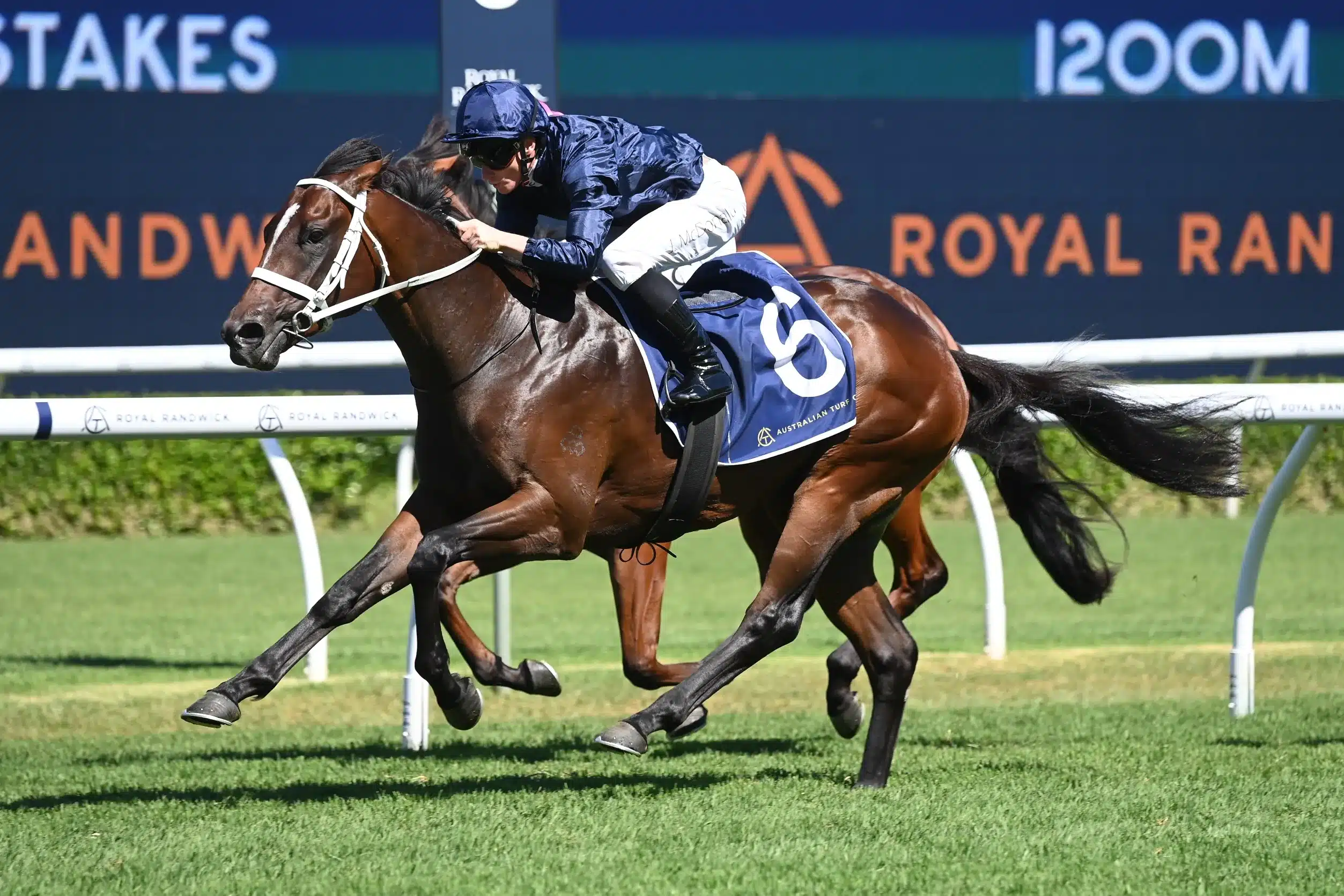 Racing Tips: Saturday 22nd March 2025