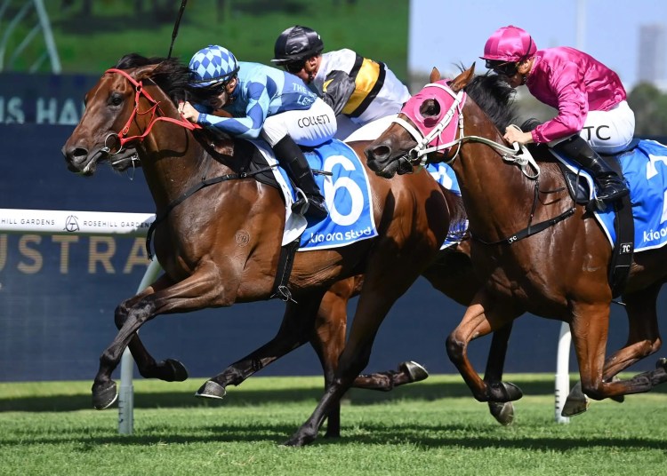 Racing Tips: Wednesday 16th April 2025