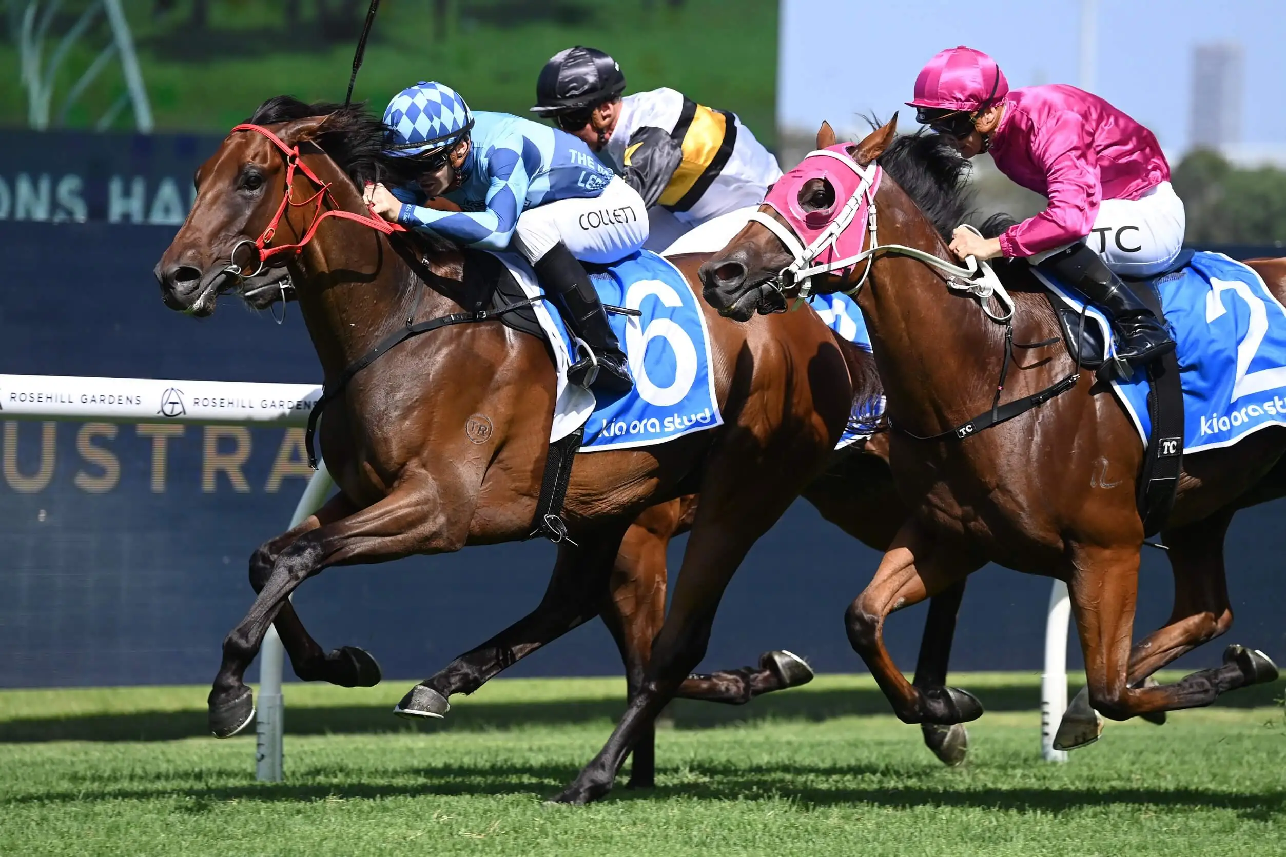 Racing Tips: Wednesday 16th April 2025