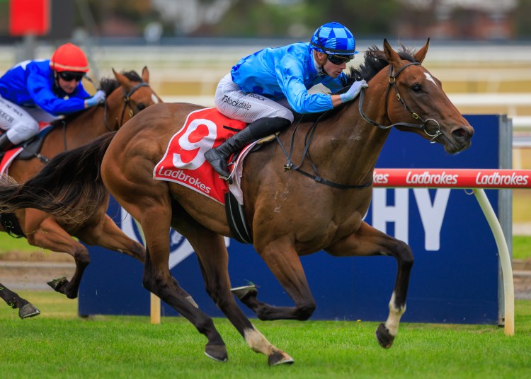 Racing Tips: Wednesday 23rd April 2025