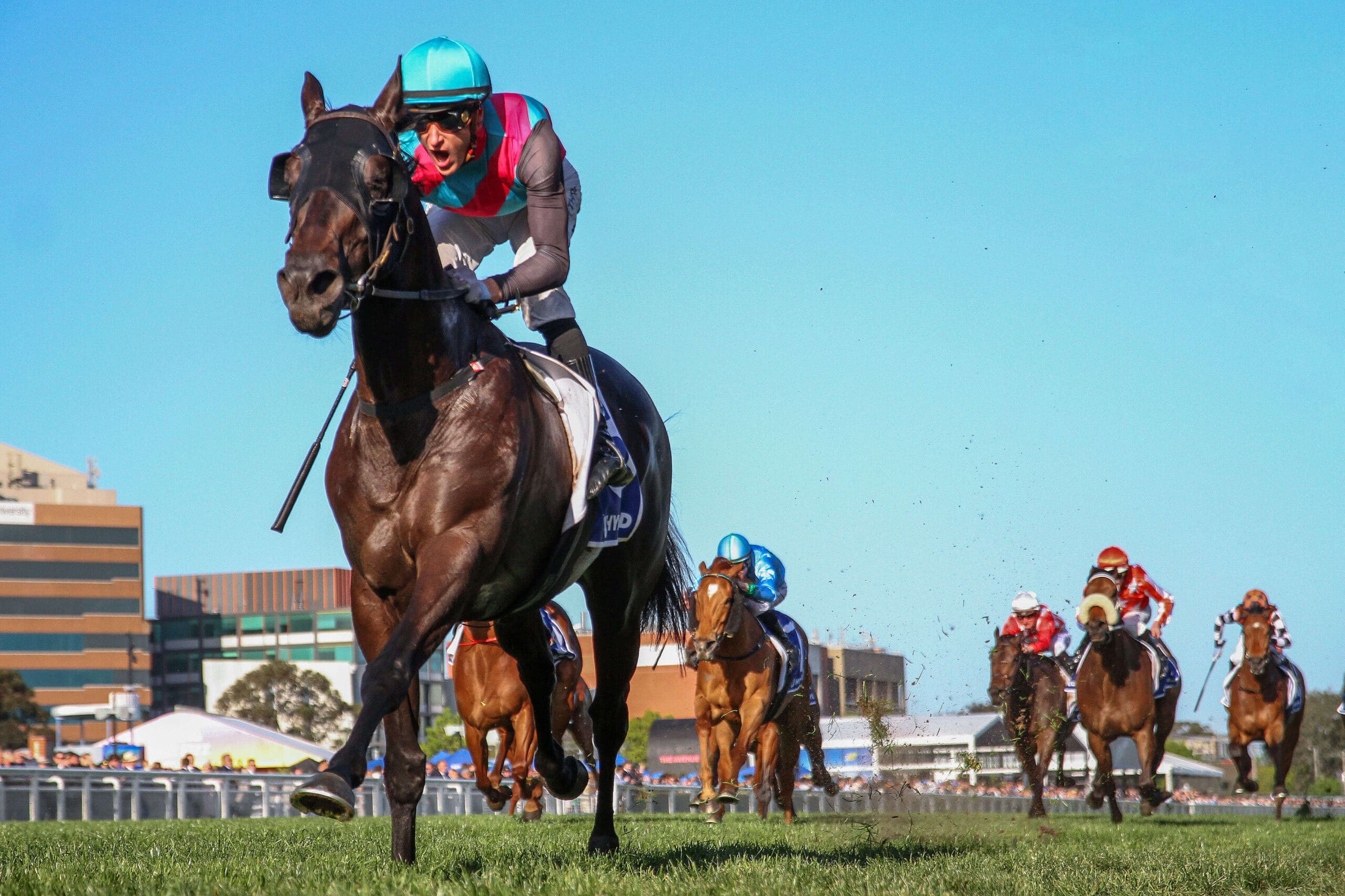 Racing Tips: Saturday 24th May 2025