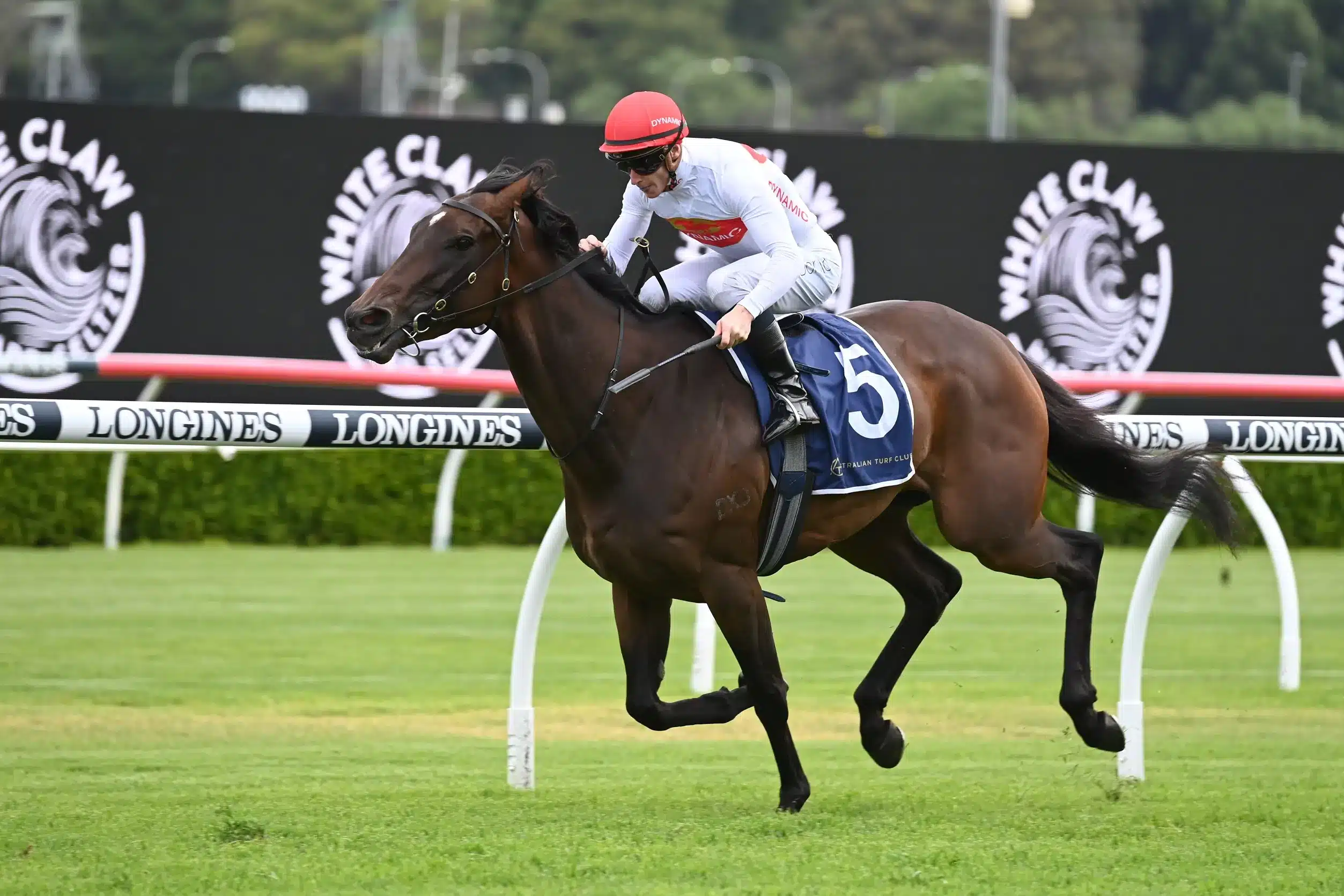 Racing Tips: Wednesday 28th May 2025