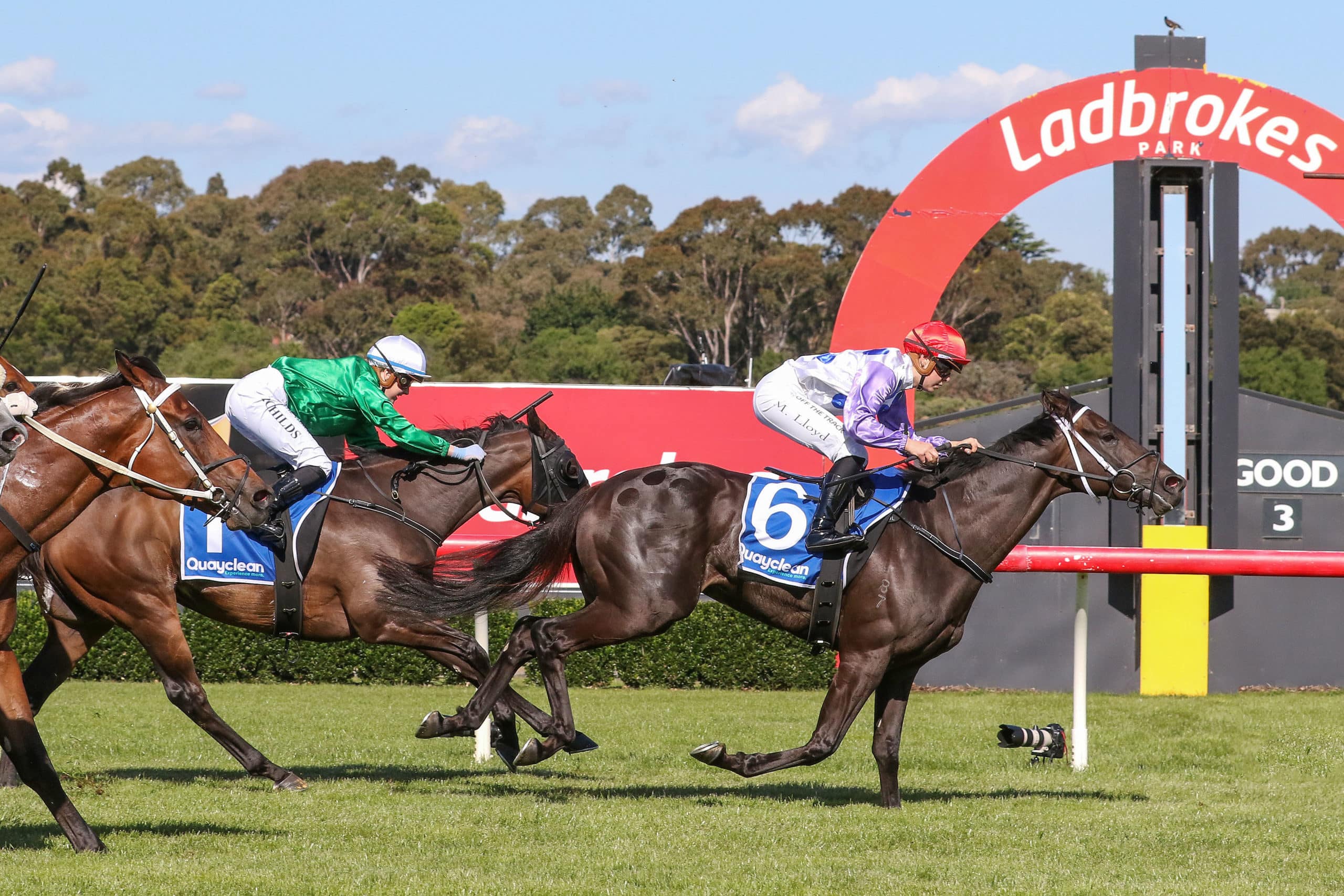 Racing Tips: Wednesday 21st May 2025