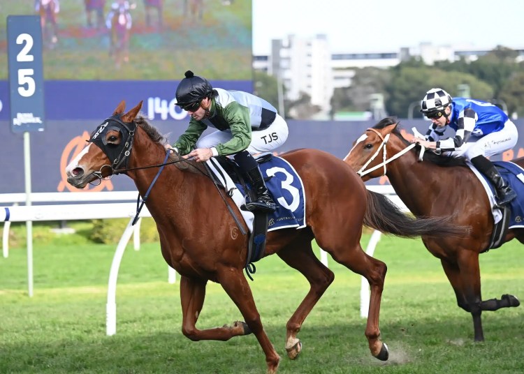 Racing Tips: Wednesday 25th June 2025