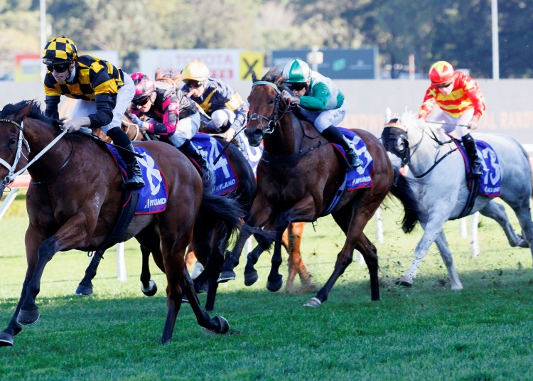 Racing Tips: Saturday 7th June 2025