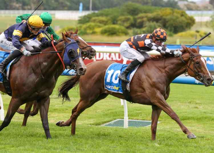 Racing Tips: Saturday 18th June 2025