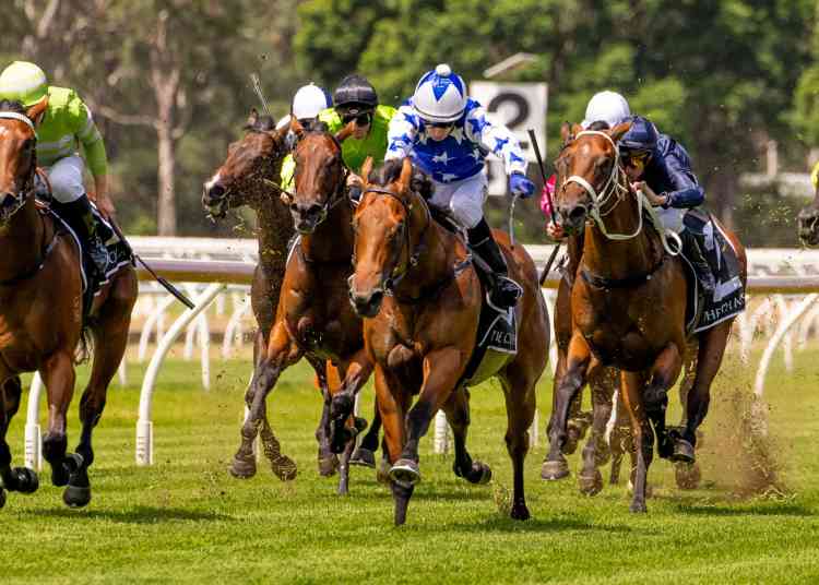 Gambling Greeks Racing Tips: Wednesday 30th July 2025