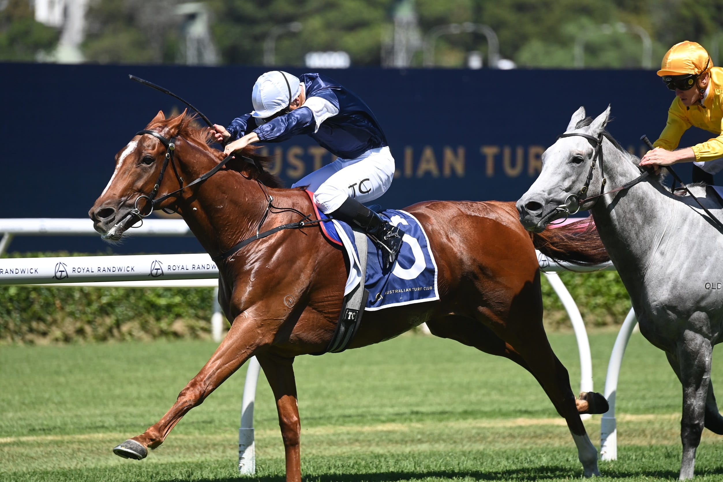 Gambling Greeks Racing Tips: Saturday 26th July 2025