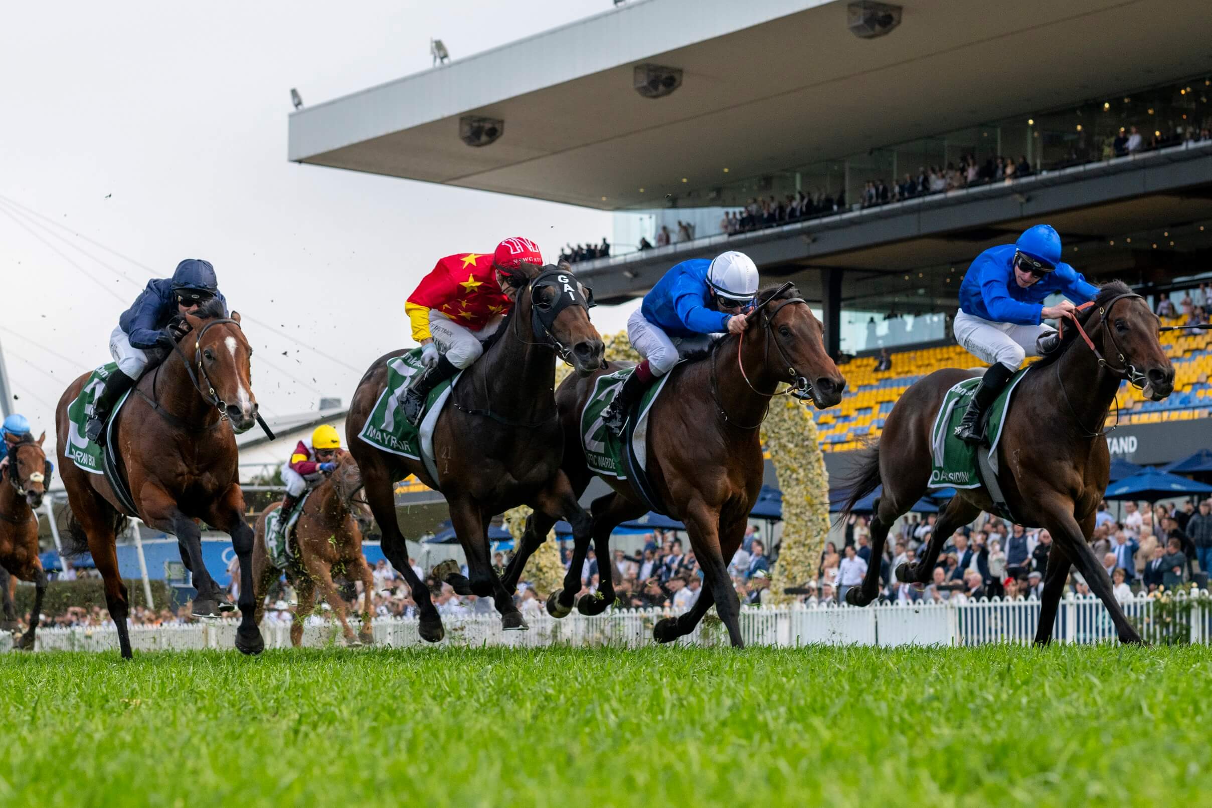 Gambling Greeks Racing Tips