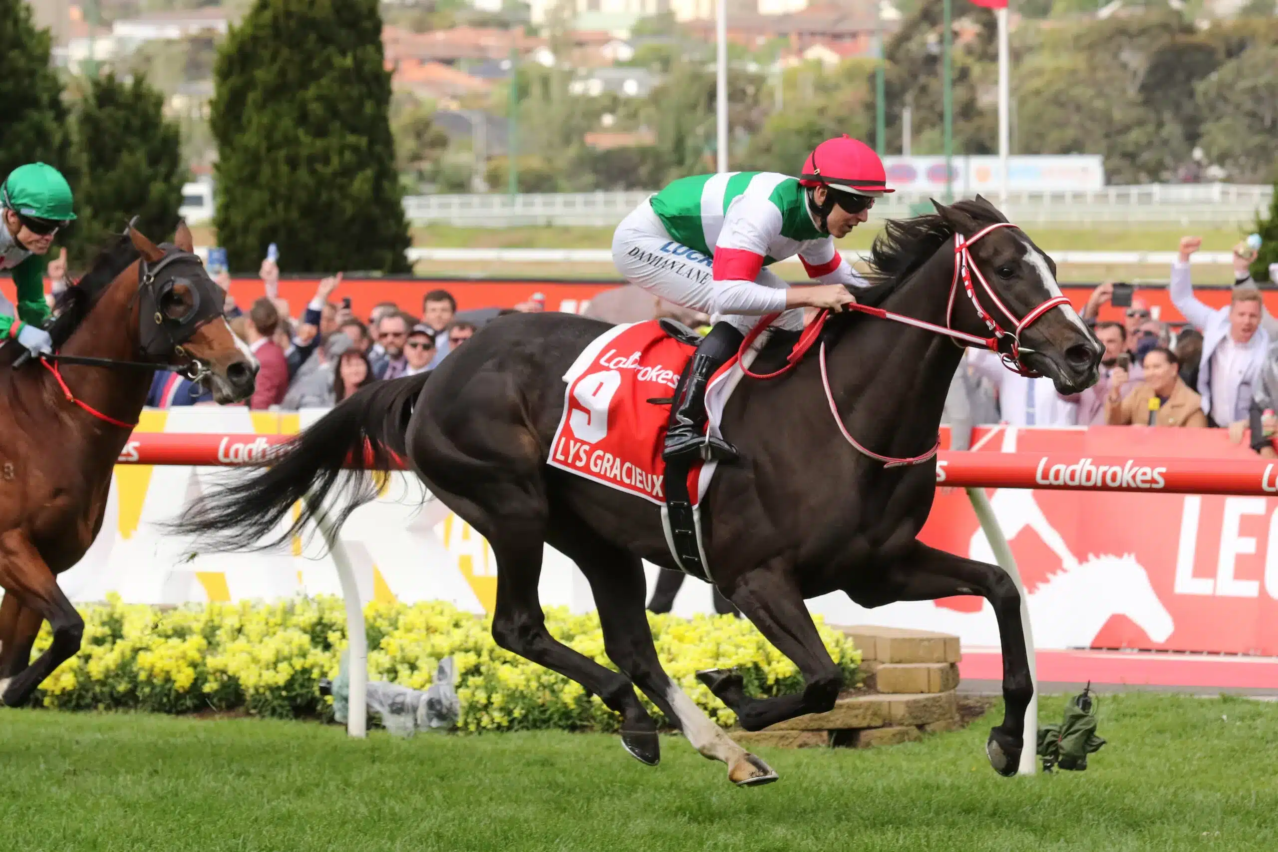 Gambling Greeks Racing Tips: Saturday 9th August 2025