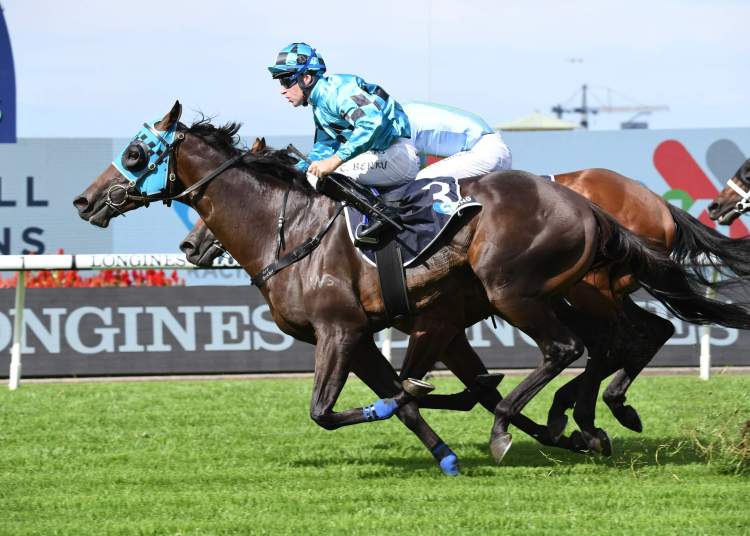 Mounga-270321-994351470