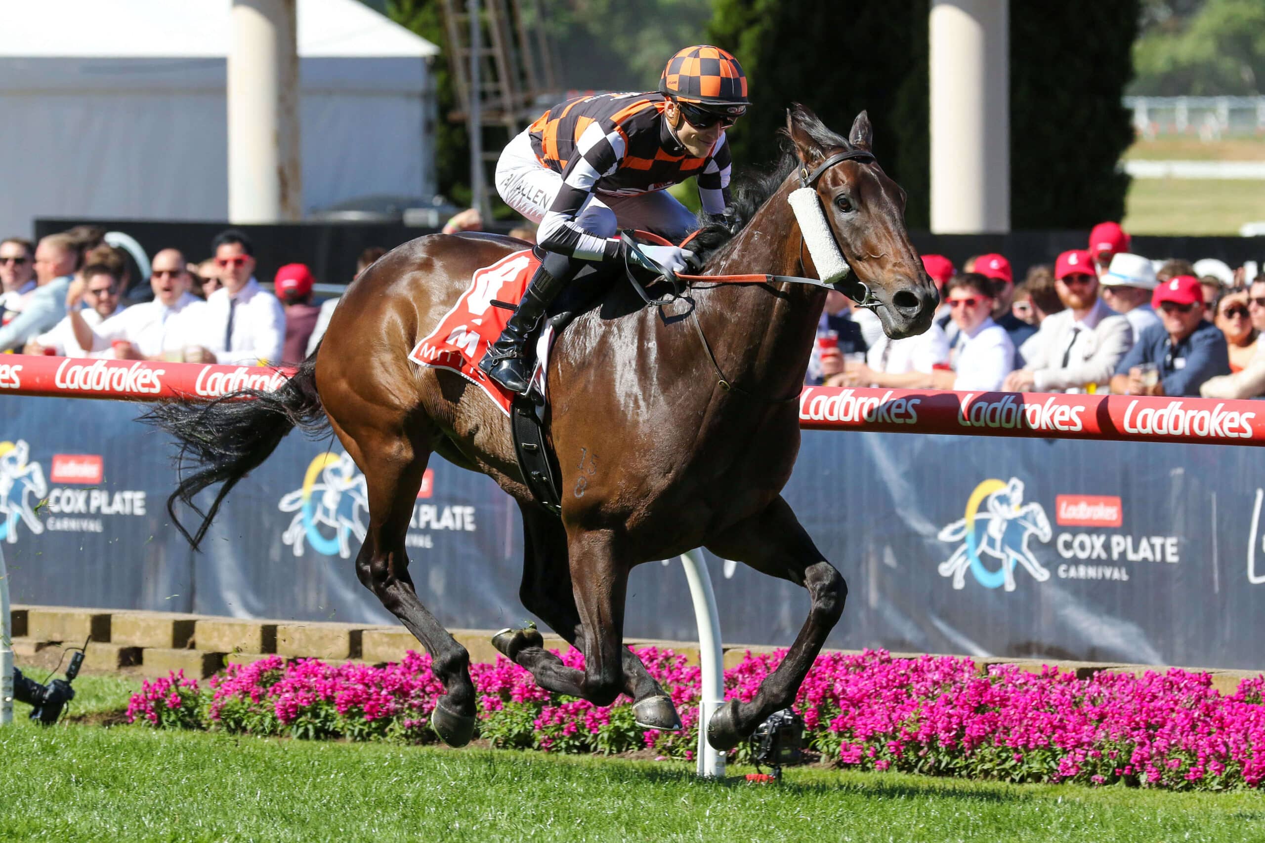 Gambling Greeks Racing Tips