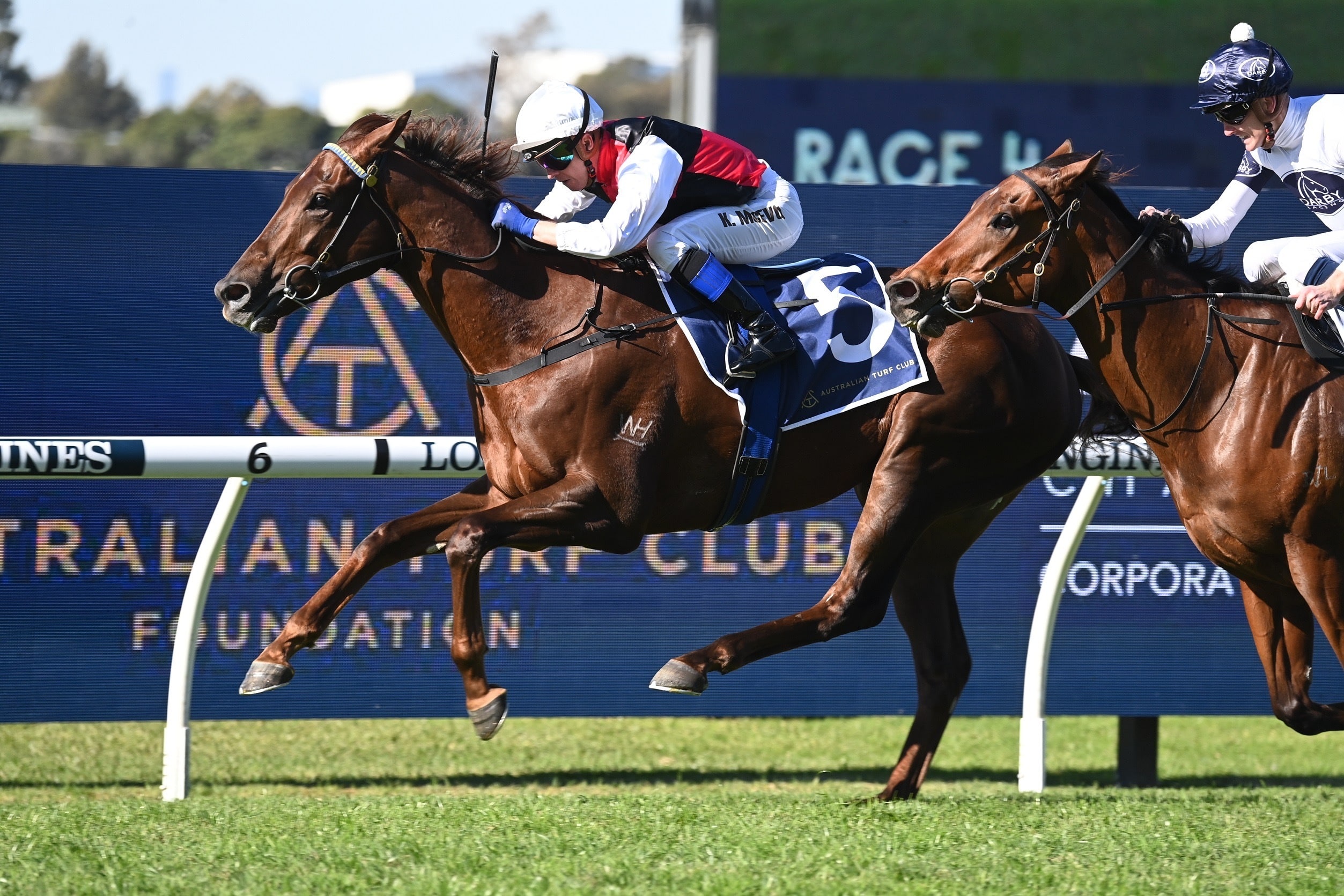 Gambling Greeks Racing Tips