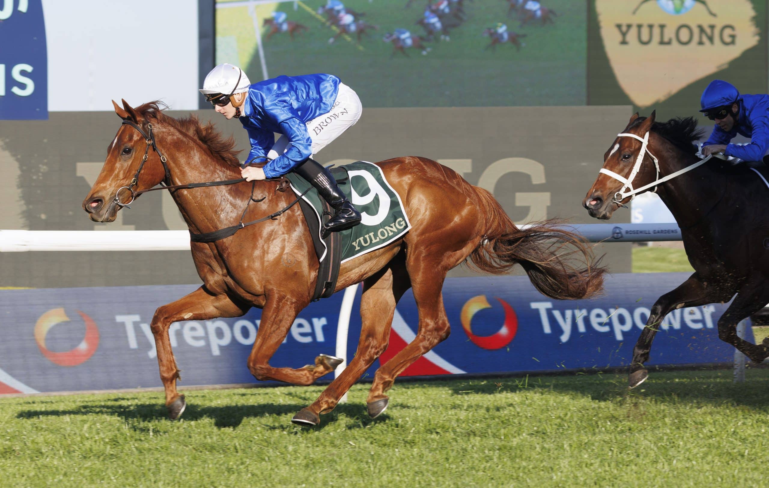 Gambling Greeks Racing Tips: Saturday 27th September 2025